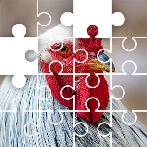 JigZone.com Jigsaw Puzzle Game.